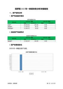 塔羅斯2025年一季度財(cái)務(wù)分析詳細(xì)報(bào)告