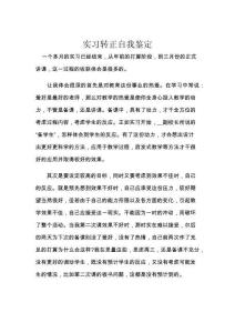 實習轉正自我鑒定