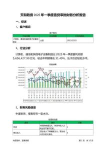 天和防務2025年一季度信貸審批財務分析報告