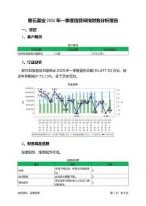 磐石基業2025年一季度信貸審批財務分析報告