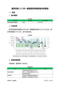 嘉環(huán)科技2025年一季度信貸審批財務(wù)分析報告