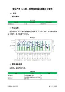 藍夢廣告2025年一季度信貸審批財務分析報告