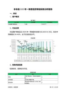 本本鼎2025年一季度信貸審批財務分析報告