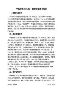 中胤時(shí)尚2025年一季度決策水平分析報(bào)告