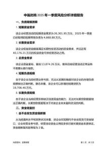 中胤時(shí)尚2025年一季度財(cái)務(wù)風(fēng)險(xiǎn)分析詳細(xì)報(bào)告