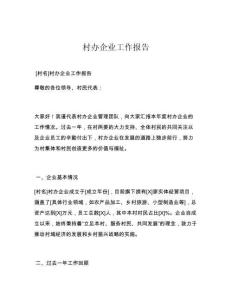 村辦企業(yè)工作報(bào)告