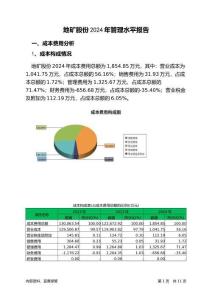 地礦股份2024年管理水平報(bào)告