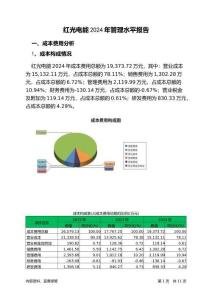 紅光電能2024年管理水平報告