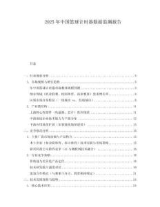 2025年中國籃球計時器數據監測報告