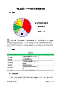 華仁藥業(yè)2024年財(cái)務(wù)報(bào)表粉飾報(bào)告