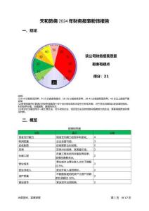 天和防務(wù)2024年財(cái)務(wù)報(bào)表粉飾報(bào)告