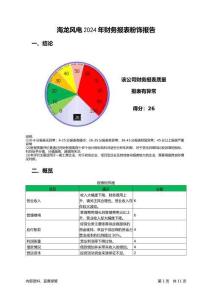 海龍風(fēng)電2024年財務(wù)報表粉飾報告