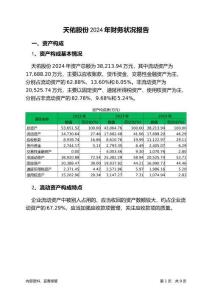 天佑股份2024年財務狀況報告