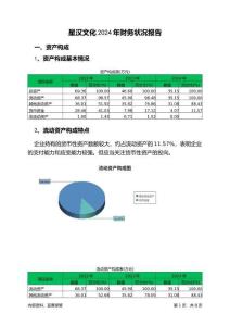 星漢文化2024年財務(wù)狀況報告