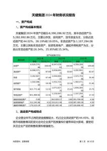 天健集團2024年財務(wù)狀況報告