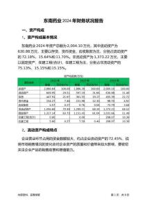 東南藥業(yè)2024年財(cái)務(wù)狀況報(bào)告