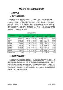 中堅(jiān)科技2024年財(cái)務(wù)狀況報(bào)告