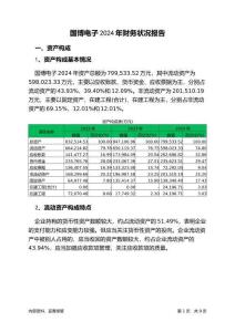 國(guó)博電子2024年財(cái)務(wù)狀況報(bào)告