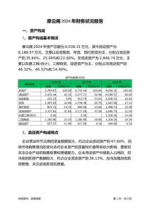 摩云閣2024年財務(wù)狀況報告