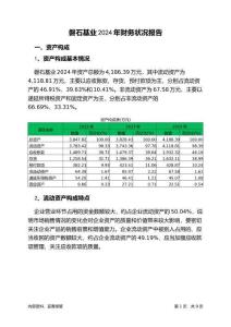磐石基業(yè)2024年財(cái)務(wù)狀況報(bào)告