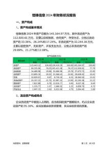 恒鋒信息2024年財務狀況報告