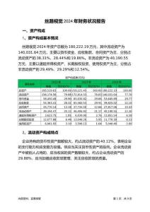 絲路視覺2024年財務狀況報告