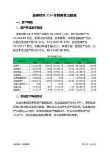 圣泰材料2024年財(cái)務(wù)狀況報(bào)告