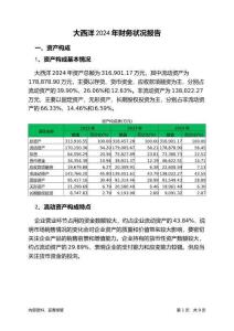 大西洋2024年財(cái)務(wù)狀況報(bào)告