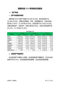 波斯科技2024年財(cái)務(wù)狀況報(bào)告
