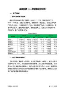 威控科技2024年財(cái)務(wù)狀況報(bào)告