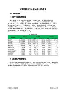 光環(huán)國際2024年財(cái)務(wù)狀況報(bào)告