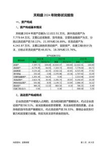 天和盛2024年財(cái)務(wù)狀況報(bào)告