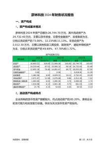 彥林科技2024年財務(wù)狀況報告