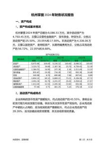 杭州掌盟2024年財務狀況報告