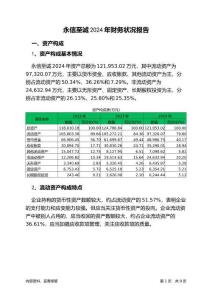永信至誠(chéng)2024年財(cái)務(wù)狀況報(bào)告