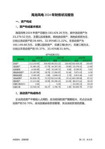 海龍風(fēng)電2024年財務(wù)狀況報告