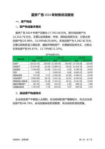 藍(lán)夢(mèng)廣告2024年財(cái)務(wù)狀況報(bào)告