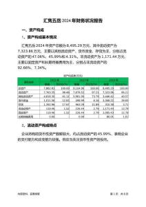 匯雋五岳2024年財務狀況報告