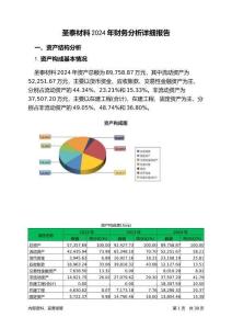 圣泰材料2024年財(cái)務(wù)分析詳細(xì)報(bào)告