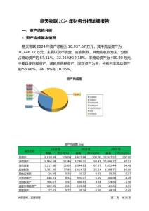 意天物聯(lián)2024年財(cái)務(wù)分析詳細(xì)報(bào)告