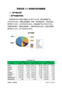 天和環(huán)保2024年財(cái)務(wù)分析詳細(xì)報(bào)告