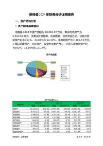 倍格曼2024年財(cái)務(wù)分析詳細(xì)報(bào)告