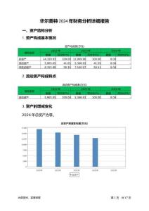 華爾美特2024年財(cái)務(wù)分析詳細(xì)報(bào)告