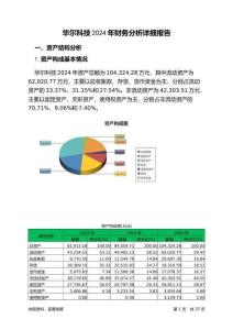 華爾科技2024年財(cái)務(wù)分析詳細(xì)報(bào)告