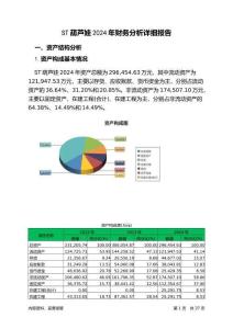 ST葫蘆娃2024年財務分析詳細報告
