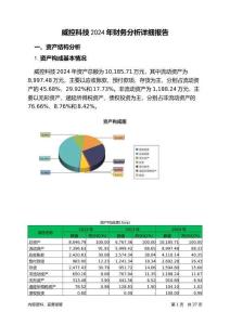 威控科技2024年財(cái)務(wù)分析詳細(xì)報(bào)告