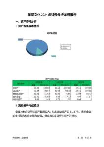 星漢文化2024年財務分析詳細報告