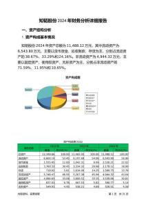 知韜股份2024年財務(wù)分析詳細(xì)報告