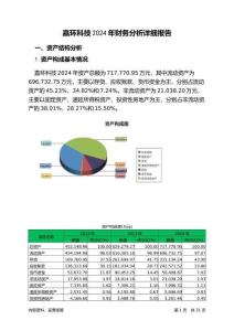 嘉環科技2024年財務分析詳細報告