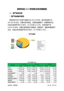 彥林科技2024年財務(wù)分析詳細(xì)報告